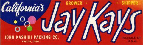 Jay Kays